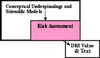 Conceptual Underpinnings and Scientific Models 5. DIETARY REFERENCE INTAKE DERIVATION: USE OF RISK ASSESSMENT 5.1 Risk Assessment Link to DRI Development 5.