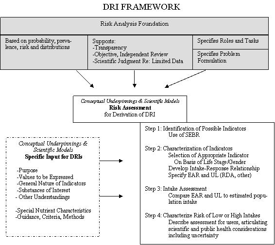 7. SUMMARY The DRI framework outlined in this paper is briefly summarized below (Figure 7-1) using a schematic to illustrate its foundation and key components.