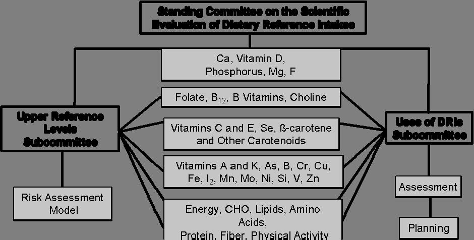 Figure 1-1: Dietary Reference Intake Development, 1994 2004: Committees and Topic Areas 1.