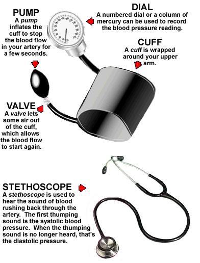 Sphygmomanometer An instrument for measuring blood pressure in the