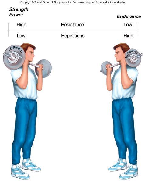What are the primary purposes of The strength-endurance continuum Strength More