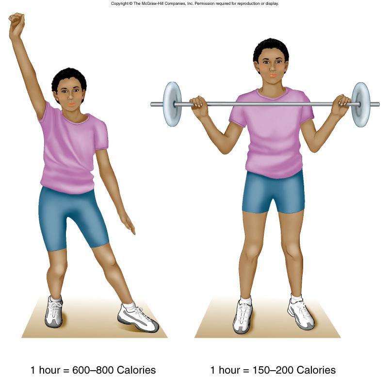 If exercise burns Calories, won t I lose weight on a resistance-training program?