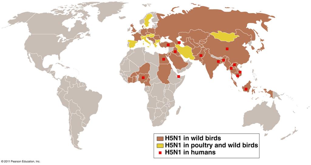 Countries with avian flu, 2008 The concerns here are two-fold.