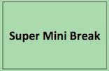 Super Mini Break Very short break (few minutes). Occurs within the work task.