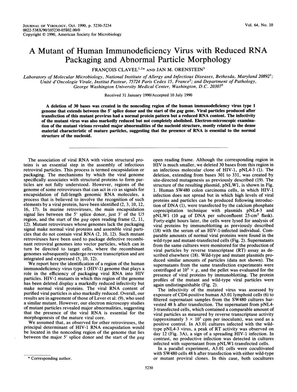 JOURNAL OF VIROLOGY, OCt. 1990, p. 5230-5234 0022-538X/90/105230-05$02.00/0 Copyright 1990, American Society for Microbiology Vol. 64, No.