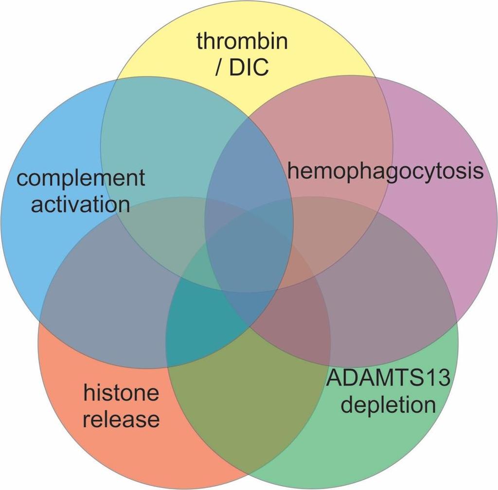 Thrombocytopenia in Sepsis Sepsis 10% of ICU admissions 50% of TCP in ICU Thrombocytopenia may modify