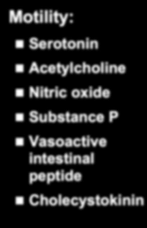 P Vasoactive intestinal peptide Cholecystokinin Visceral