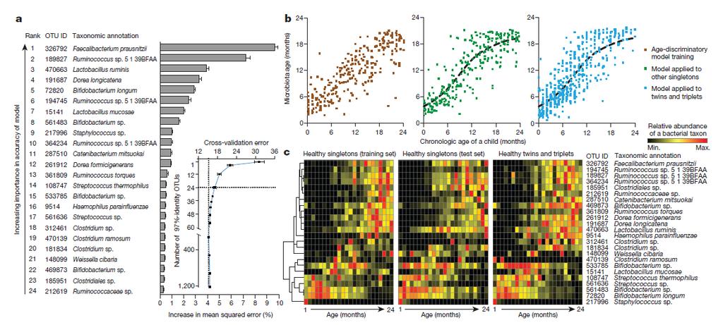 Consistent taxonomic signature of microbiota maturation across different healthy