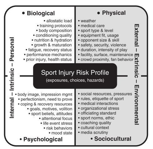 26 Figure 2. Sport Injury Risk Profile (Wiese-Bjornstal, 2010).