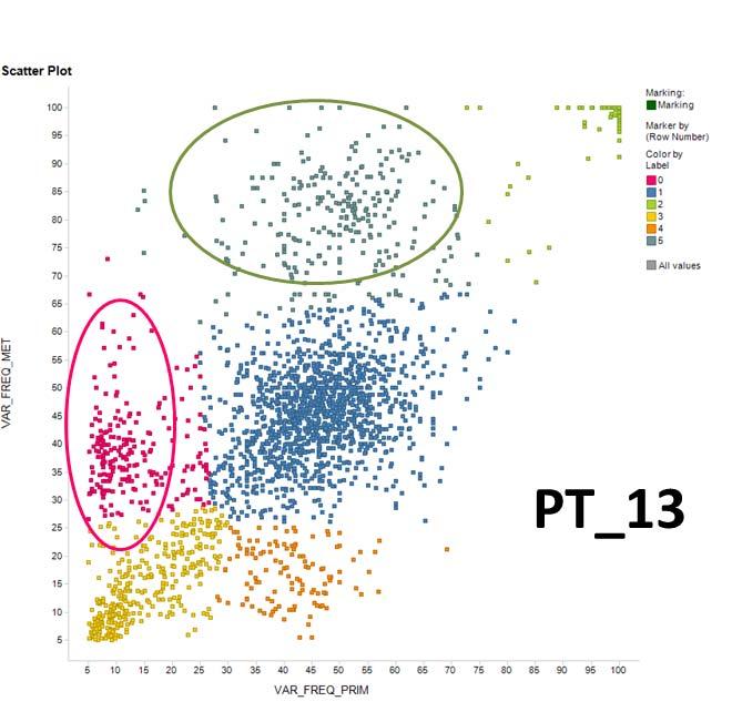 into two groups. The first group comprised of PT1, PT2, PT9 and PT13, which showed similar VAF plots, in the sense that there is a clear cluster of variants which are enriched in metastasis.