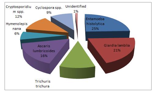 Study of Intestinal Parasitosis among School Children of Kathmandu Valley, Nepal Symptom wise distribution of positive cases The occurrence of parasitic infection in symptomatic children was found to