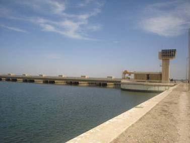 outbreak in Western African region was reported 1987 after the building of the Diama dam in the framework of