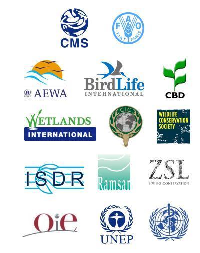 Scientific Task Force on AI and wild birds Established in August 2005, under the lead of UNEP/CMS Comprises 15 bodies Works through teleconferences, workshops and email