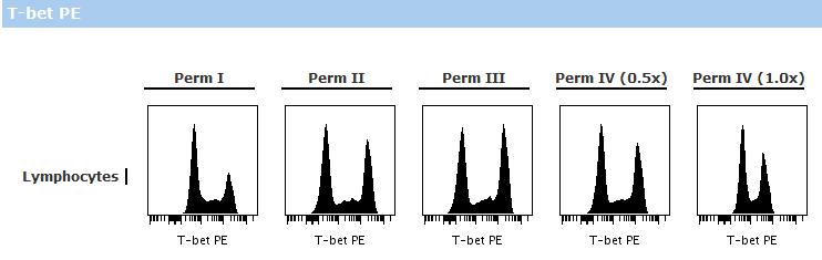 Example 4: IL-2 Response in Th1-Like and Non-Th1 Effector Memory CD4 + T Cells In this experiment, T-bet was used to identify