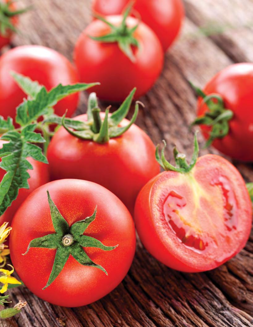 Tomatoes We recommend that men with or without prostate cancer consume a healthy diet rich in a variety of vegetables, including cooked tomatoes.