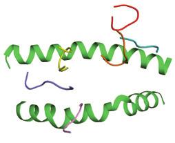 a Type I NKT TCR lipid CD1d Type II NKT TCR lipid CD1d TCR peptide MHC Cα Cβ Cα Cβ Cα Cβ NKT TCR NKT TCR TCR Vα Vβ Vα Vβ Vα Vβ Lipid Lipid Peptide A F A F N C β 2 m β 2 m β 2 m CD1d CD1d MHC b α1