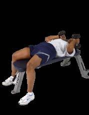 Dumbbell Lying Triceps Extension Lie down on your back on a bench and hold