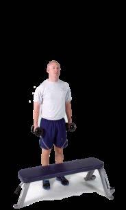 LEVEL 2 Dumbbell Step-Up [Set 1, rest 30 seconds, Set 2, rest 30 seconds] Every few weeks switch to