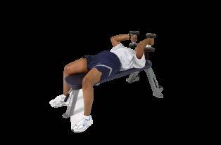 LEVEL 2 Dumbbell Lying Triceps Extension Lie down on your back on a bench and hold a dumbbell in