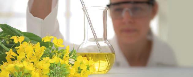 Refined oils Pure natural vegetable oil, thoroughly purified to control the colour, odour, acidity and oxidation of the oil. Essential oils Highly aromatic volatile organic oils present in plants.