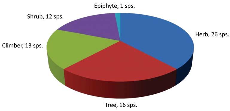 112 represented families are Euphorbiaceae (6 sps.), Combretaceae (5 sps.), Fabaceae (4 sps.), Apocynaceae, Asteraceae, Rutaceae (3 sps.