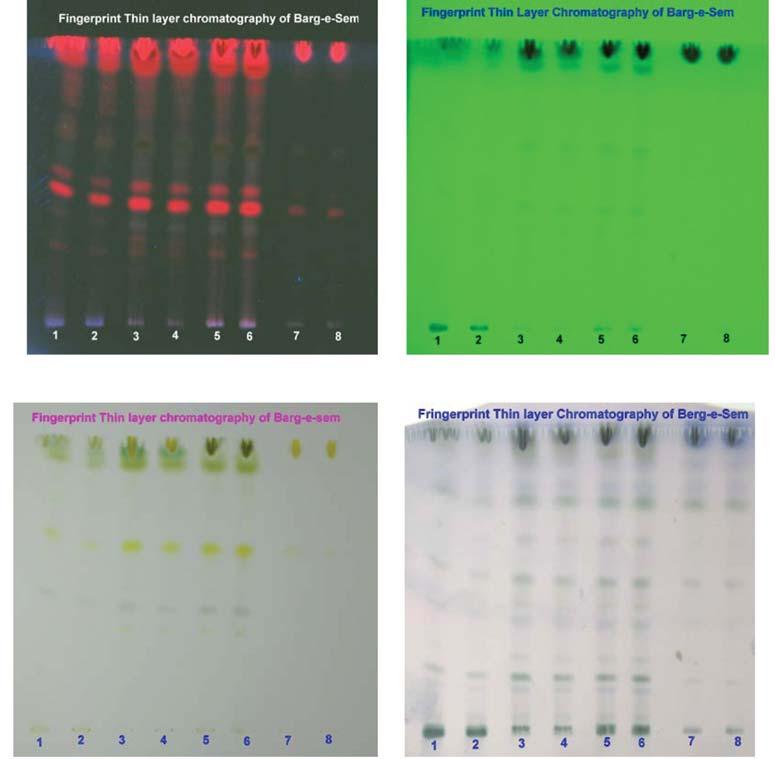 157 Table 5: Fluorescence analysis of powdered drug extracts in different solvents: S.No. Extraction Solvent UV light Visible light Short 254nm Long 366nm 1. Acetone Extract Black Black Dark green 2.