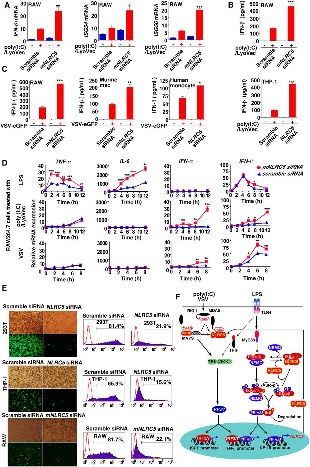 Figure 7. Knockdown of NLRC5 Enhances Cytokine Response and Antiviral Immunity (A and B) RAW264.