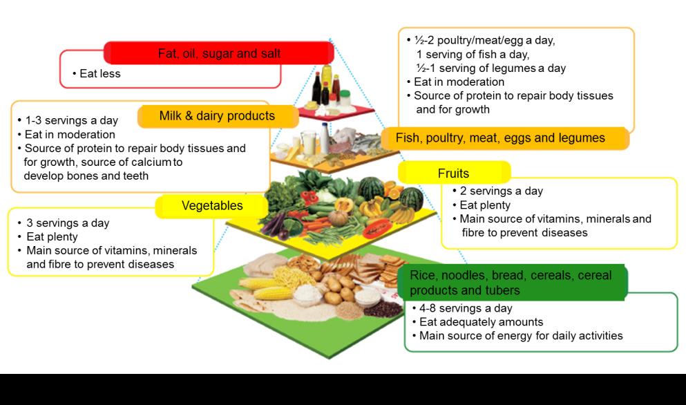 pyramid at each level Variety Select a variety of food within
