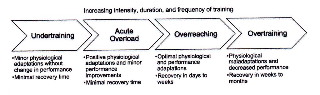 Overreaching/Overtraining Threshold for this syndrome varies for every athlete Stress due to training, psychological stress, illness?