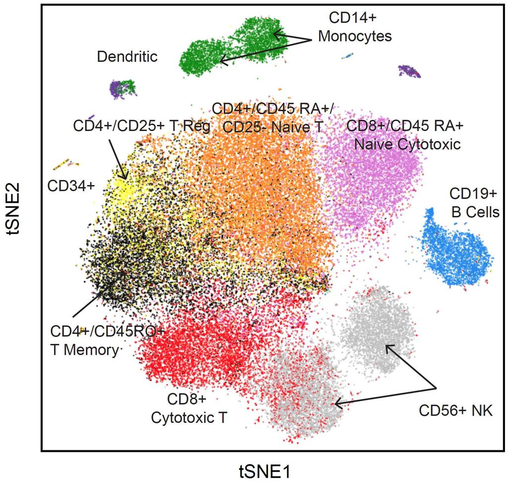 Single-cell RNA-seq reveals heterogeneity in expression Measurement of gene expression at resolution of single cells Break Count matrix Allows