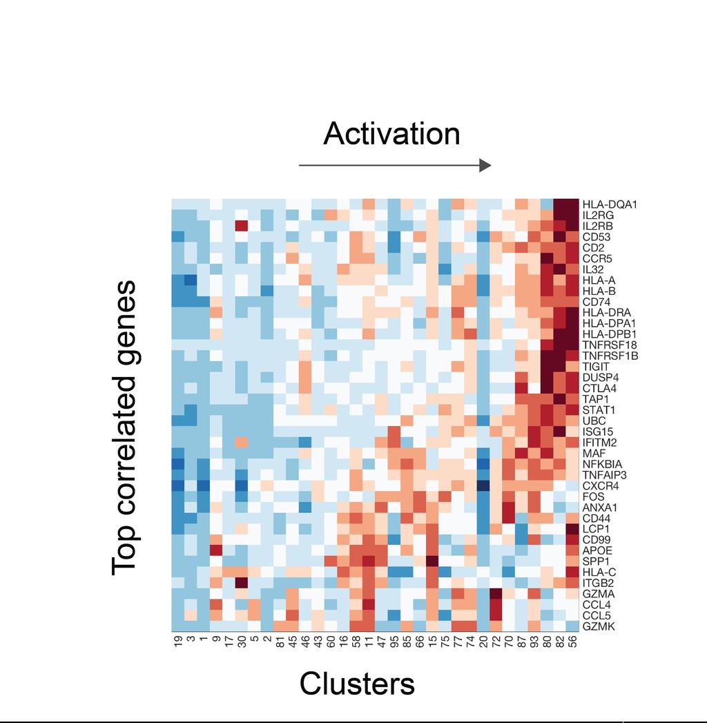 T cell activation: First component of variation Correlated genes enriched for cytokine