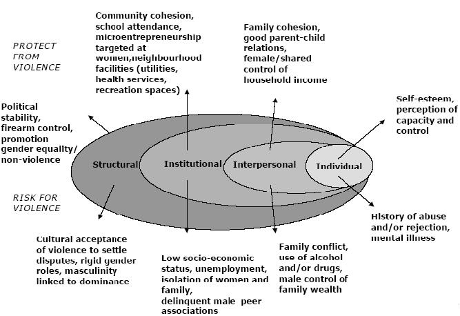 the larger societal factors that influence the occurrence of violence.