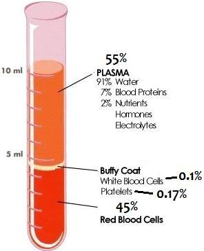 Blood Facts: There are about one billion red blood cells in two to three drops of