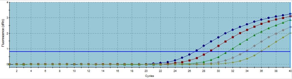 qpcr standard curves All primer/probe sets were performed with five-fold serial dilutions of Brugia cdna template to create standard curves and obtain amplification