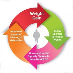Set Point Theory A theory from many years ago States that your body fights to maintain its current weight If you lose weight, your body will fight to get back to it set point