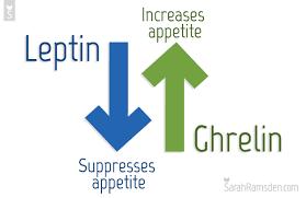 Leptin and Grehlin Leptin is the hormone that determines you are satisfied when eating It helps regulates energy balance by inhibiting hunger Grehlin stimulates appetite Both are affected by h.
