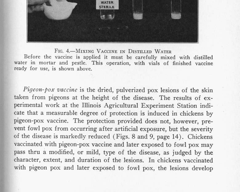 FOWL Pox 9 F owl-pox vaccine consists of the dried, powdered scabs from a poxinfected chicken and contains the living pox virus.