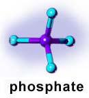Pyrophosphate and alkaline