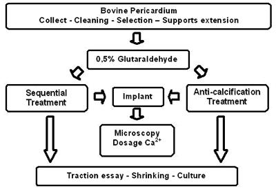 Figure 1 : Flowchart of the method used Treatment of the bovine pericardium: The bovine pericardium was collected from an abattoir immediately after the animal was slaughtered.