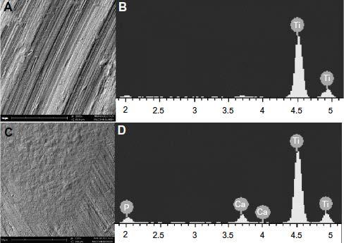 SEM images of titanium surfaces after mouthwash treatment Surface after fluoride-based mouth wash treatment Elementary analysis after