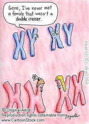 Sex-linked Traits Involves genes on either the X or Y chromosome.
