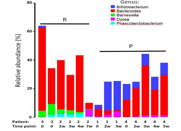 Stool microbiome and response to sunitinib Results The analysis of microbiota membership in P and R groups differentially abundant 5 taxonomic units of genus level were observed with an