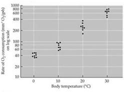 Eurythermal 2. Effects of Body Temperature Change A. Temperature affects the rate of chemical reactions needed to maintain homeostasis B. Too low: metabolism not fast enough to maintain homeostasis C.
