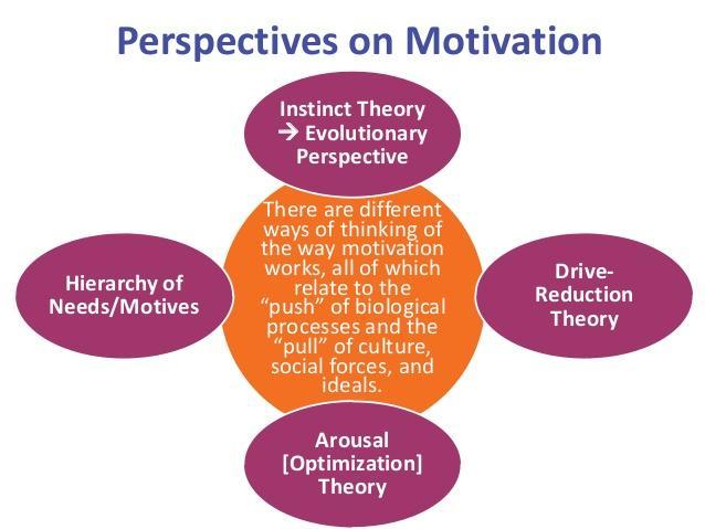 Theories of Motivation In an attempt to understand motivated behaviours, Psychologists have used various perspectives.