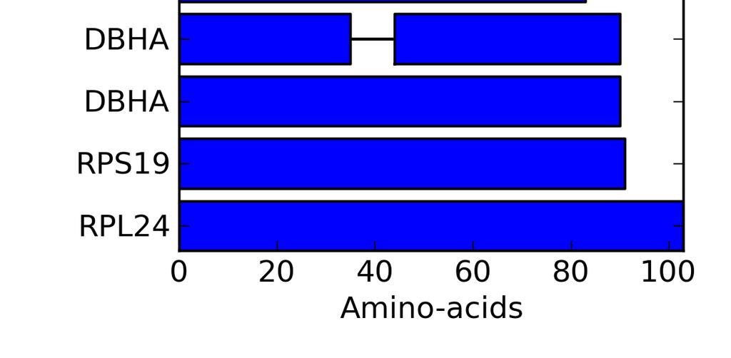 On average, fifty amino acids were extracted for each protein matched to Enterobacter cloacae to construct its phylogenetic tree.