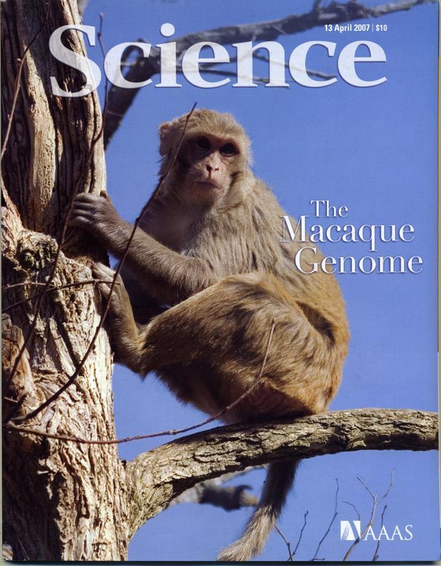 on Members genomics of and the evolutionary nonhuman primate biology, models primate of research, backgrounds Introduction of a Bioinformatics This Workshop enables to refinement expose nonhuman and