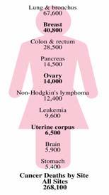 American Cancer Society Female Cancers 2000 Statistics Reprinted by permission of