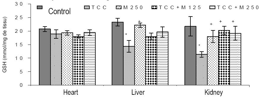 Effect of the methanol extract of A. multiflora on CAT activity in heart, liver and kidney of CCl 4 treated rats. Each bar represents mean SEM, n=5.