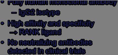 Denosumab Model of denosumab Fully human monoclonal antibody IgG2 isotype High affinity and specificity RANK ligand No