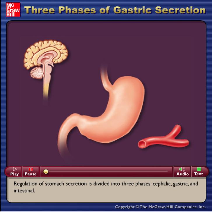 D.2.U1 Nervous and hormonal mechanisms control the secretion of digestive juices. Cephalic Phase: reflex response to visual, smell or thought stimulus Secretion of gastric juice.